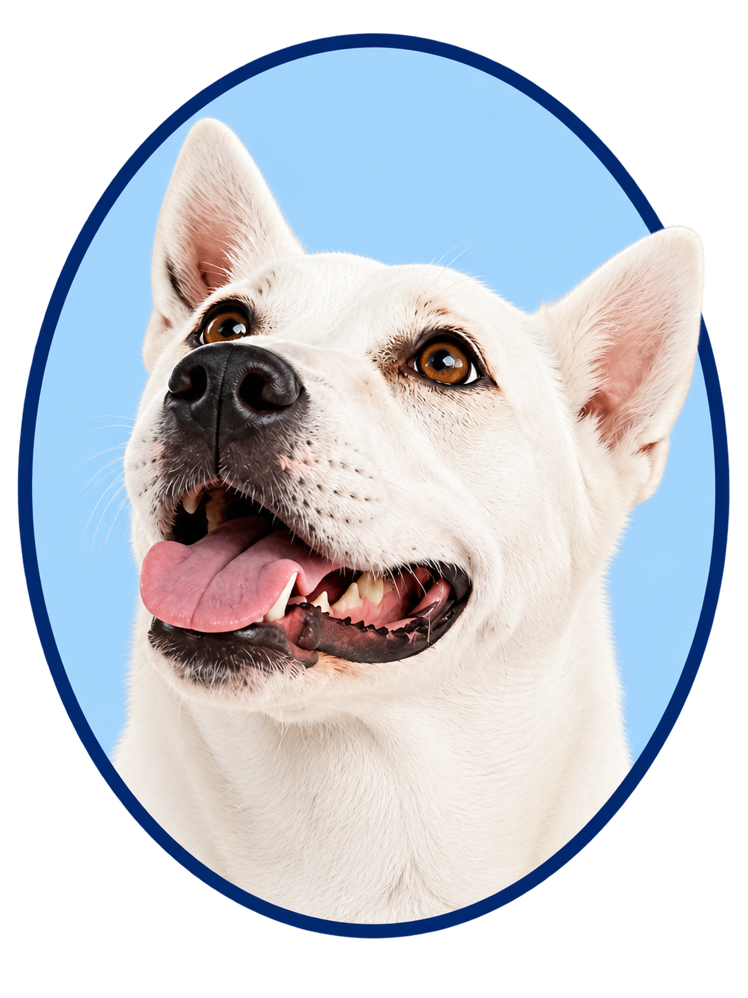 Happy Trails Pet Care